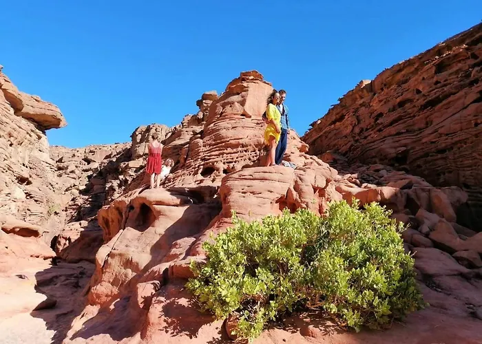 Sebaii Camp السباعى كامب شاطئ الترابين بجوار ويت بالس Nuweiba`